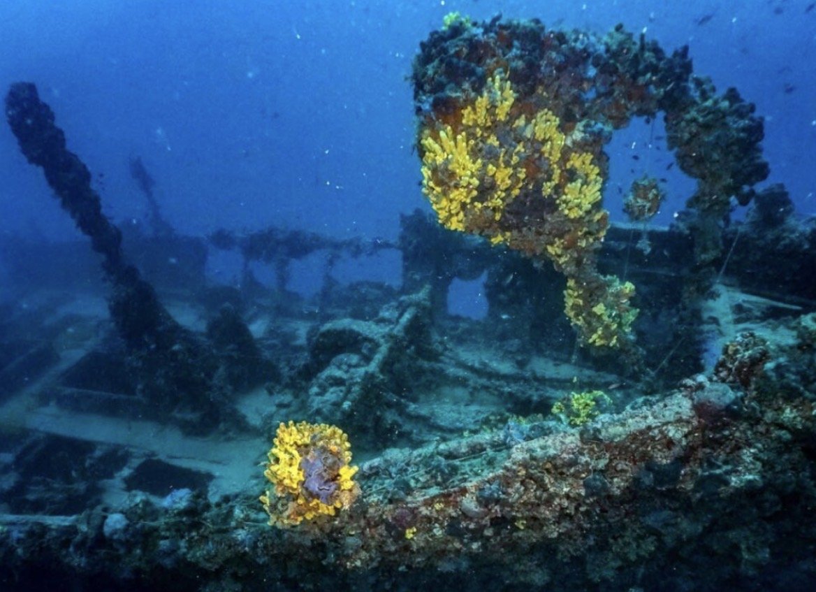 Dague wreck, Bar · Photo 3