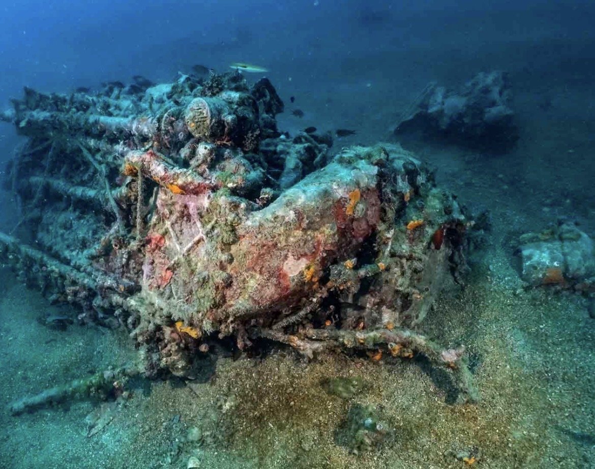 Dague wreck, Bar · Photo 2