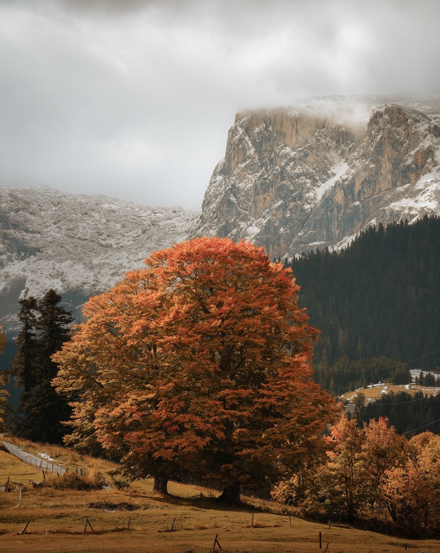 From the coast to the northern mountains · Photo 9