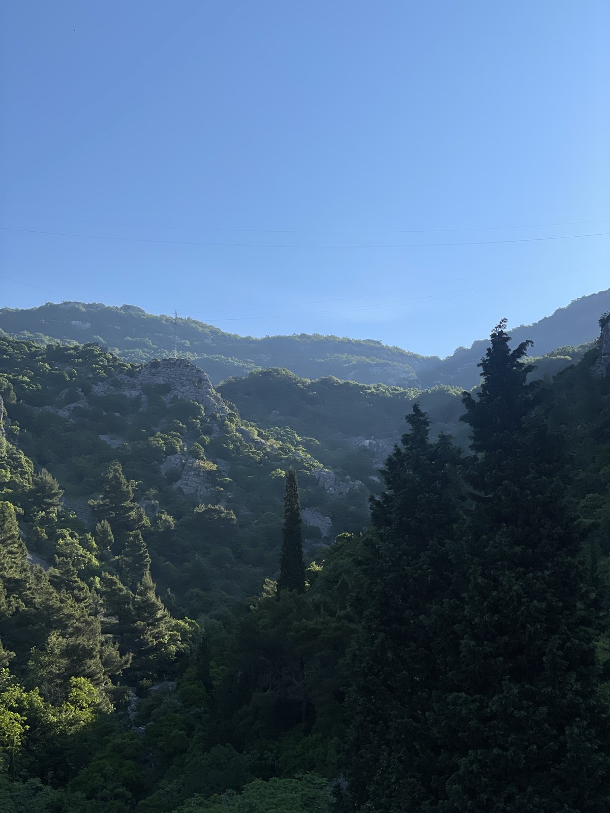 From the coast to the northern mountains · Photo 6