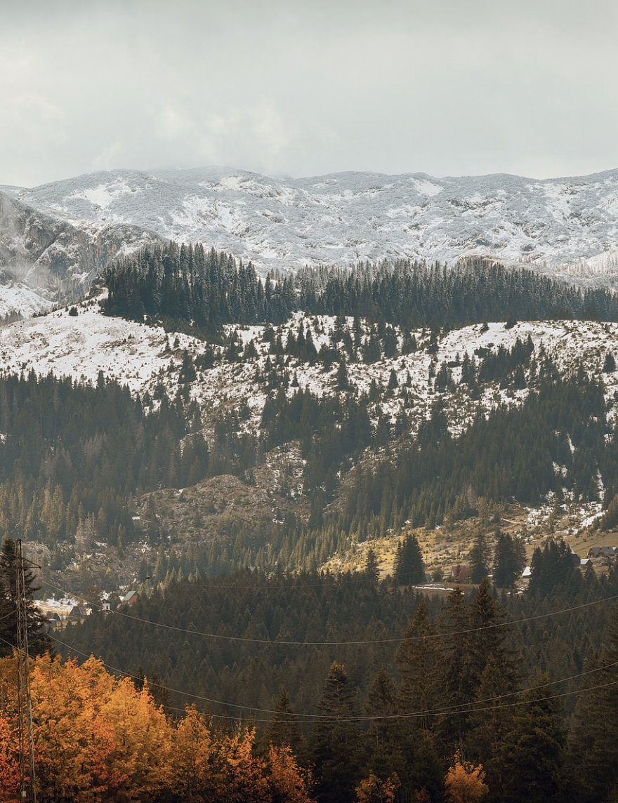 From the coast to the northern mountains · Photo 11