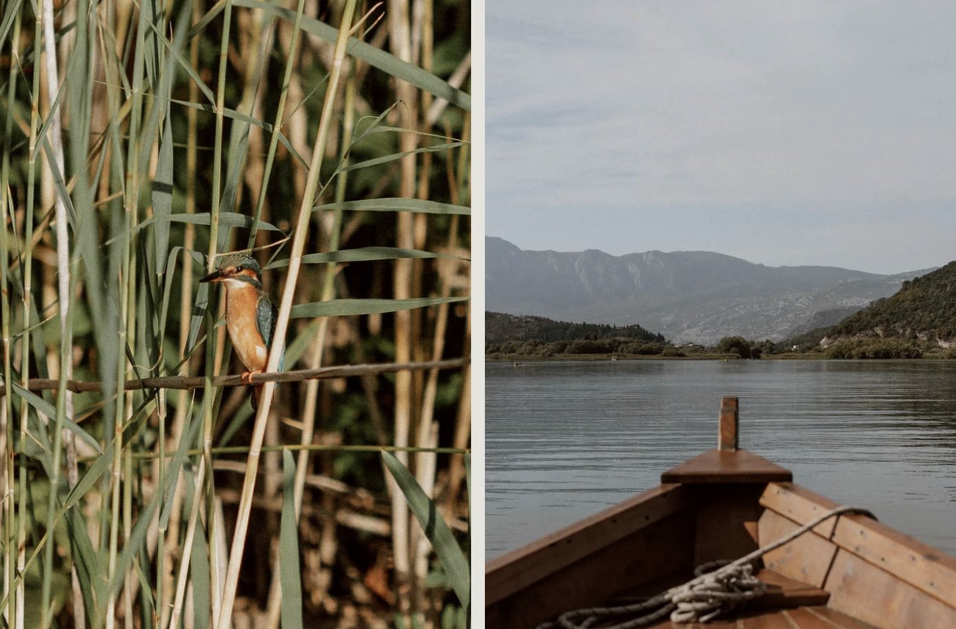 Skadar Lake · Photo 4