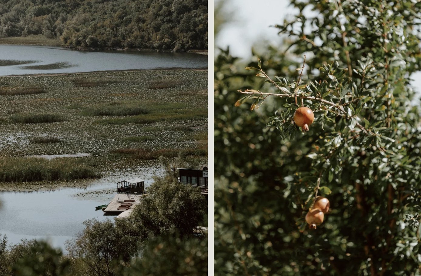 Skadar Lake · Photo 7