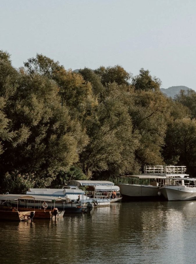 Skadar Lake · Photo 10