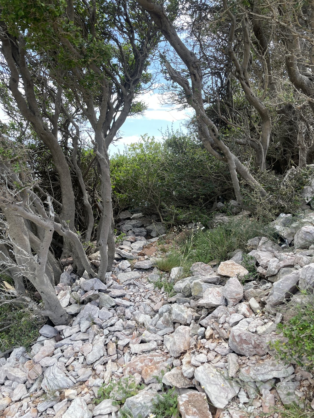 Sutomore · Photo 10