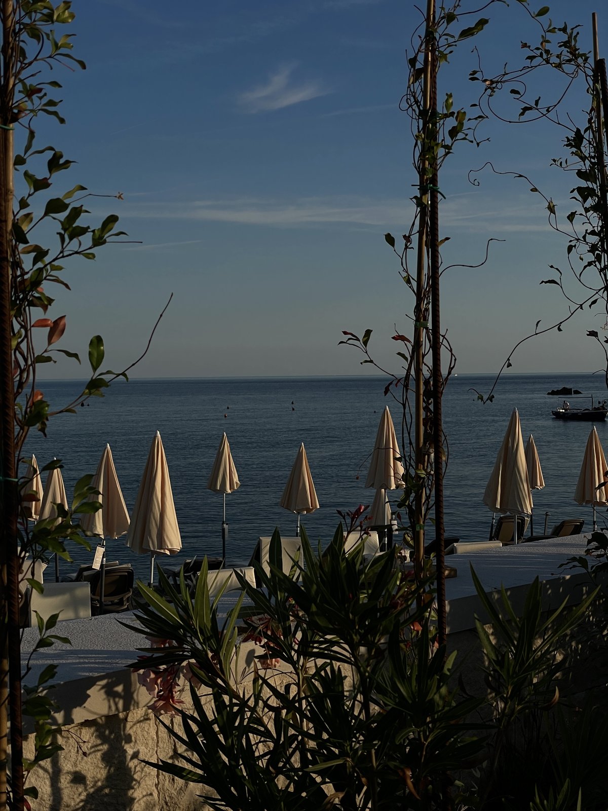 Beach umbrellas and the Adriatic seen through climbing plants
