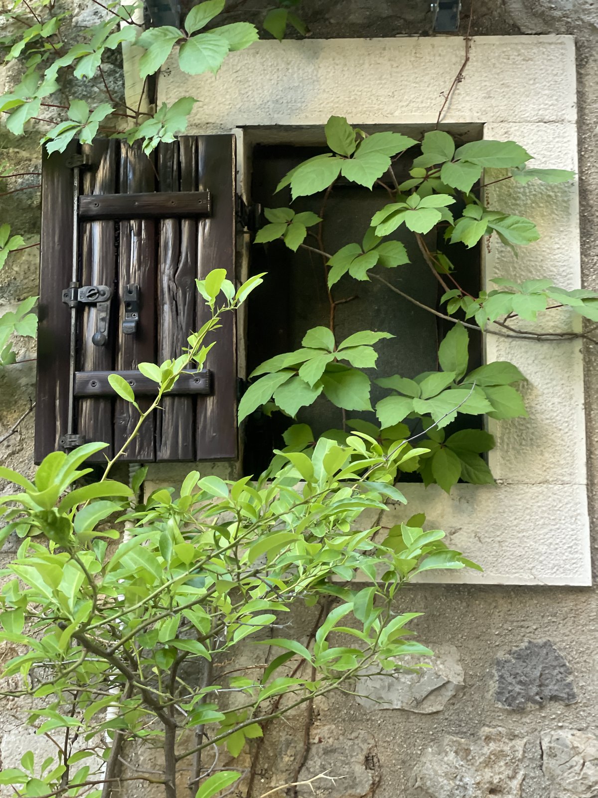 Ulcinj old town · Photo 6