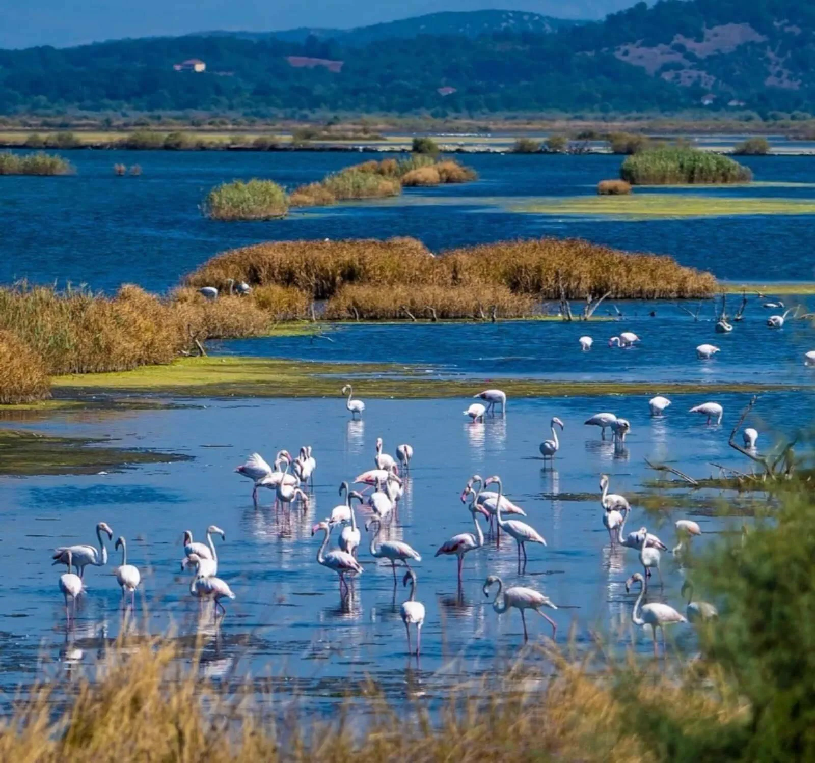 A quiet Salina landscape