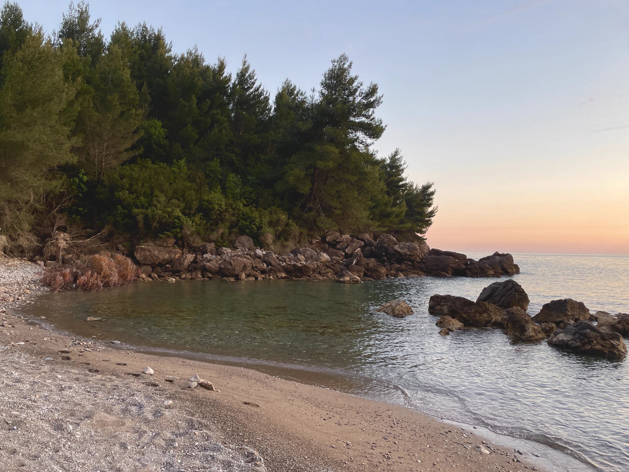 Rocky beach surrounded by pine forest